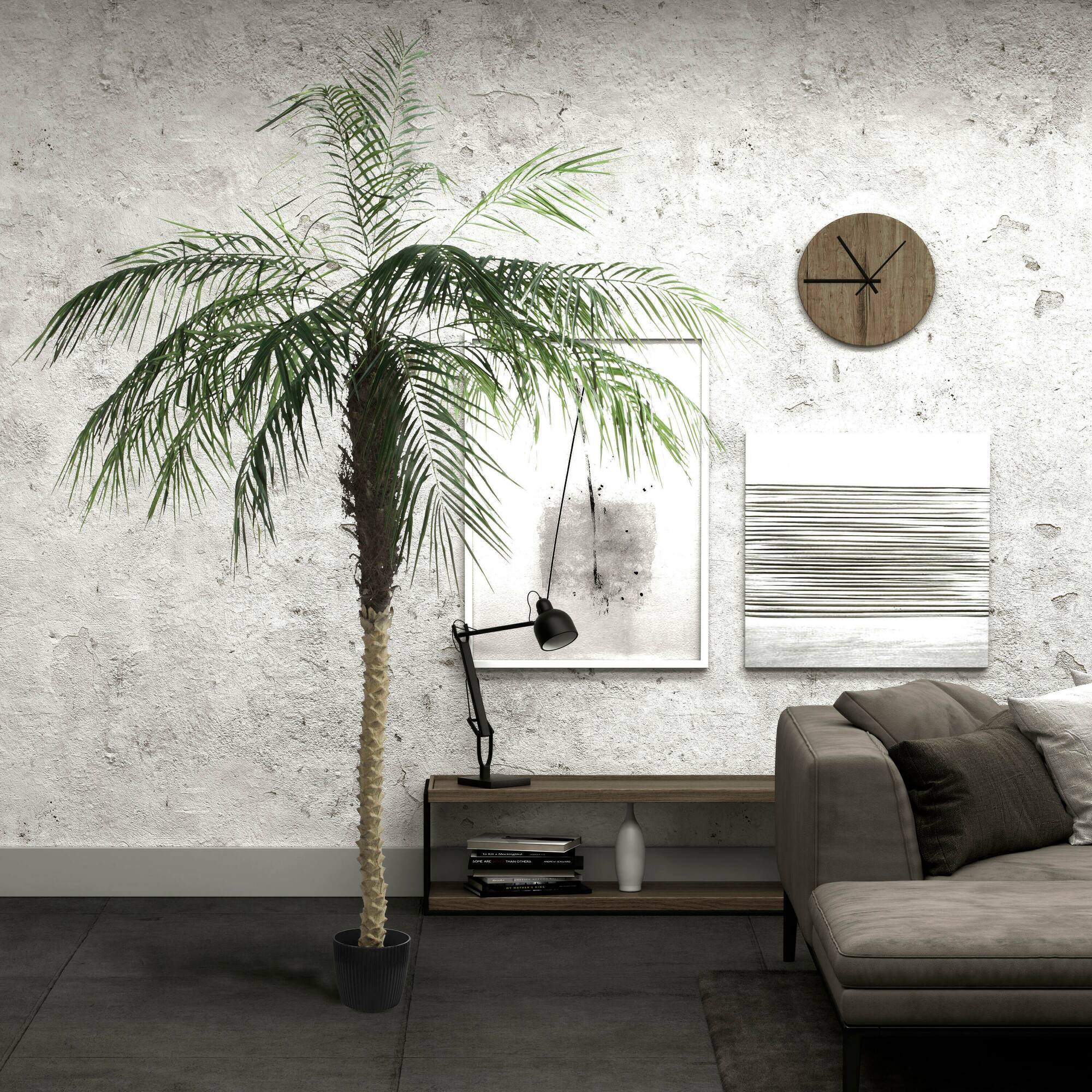 9ft. Potted Phoenix Palm Tree